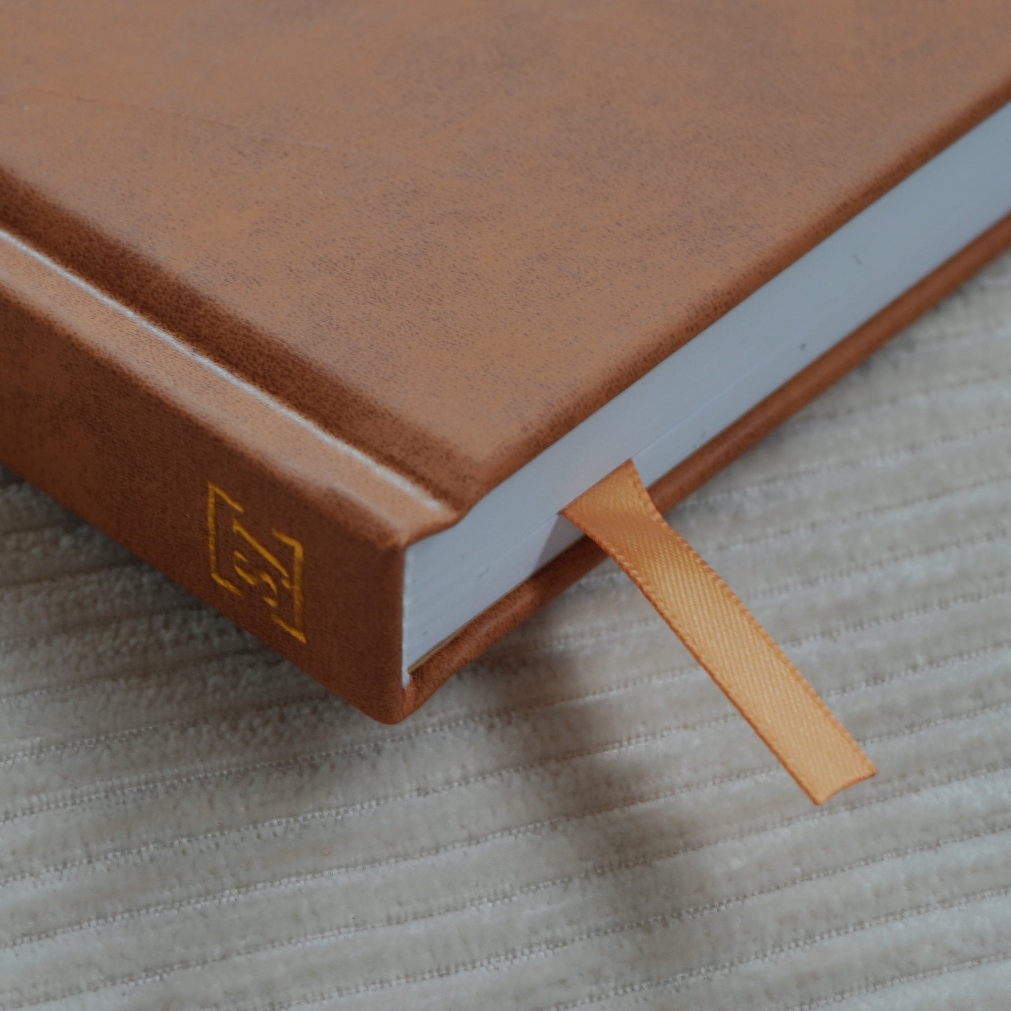 Safe Journal Brown Leather